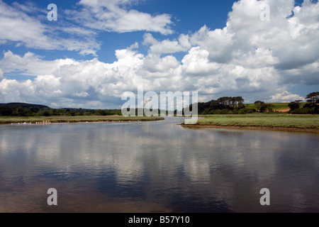 La loutre de rivière à Budleigh Salterton, dans le sud du Devon, Angleterre, Royaume-Uni, Europe Banque D'Images