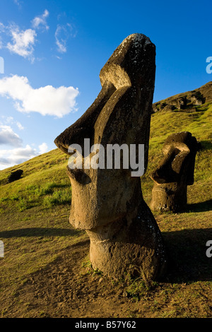 Statues Moai de pierre monolithique géant à Rano Raraku, île de Pâques (Rapa nui), UNESCO World Heritage Site, Chili, Amérique du Sud Banque D'Images