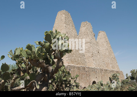 Vieux fours pour le mercure, le traitement minéral de pozos (Pozos), site du patrimoine mondial de l'UNESCO, de l'État de Guanajuato, Mexique Banque D'Images