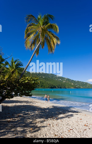 Palmiers et la plage de Magens Bay, la plage la plus célèbre de St Thomas, St Thomas, îles Vierges américaines, Antilles, Caraïbes Banque D'Images