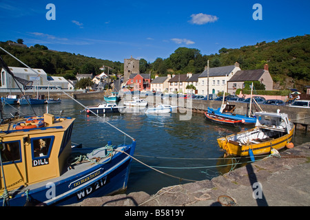 Village de pêcheurs Ballyhack, comté de Wexford, Leinster, République d'Irlande, Europe Banque D'Images