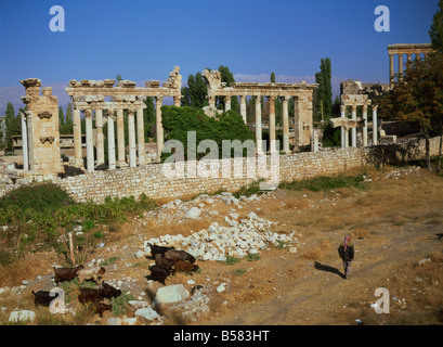 Temple de Vénus, de Baalbek, UNESCO World Heritage Site, Liban, Moyen-Orient Banque D'Images