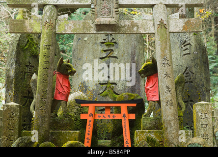 Fushimi Inari-taisha, Kyoto, Kansai (Province de l'Ouest), Honshu, Japon, Asie Banque D'Images