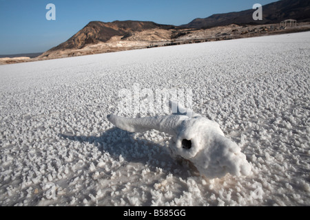 Le point le plus bas sur le continent africain et la plus étendue d'eau salée sur terre, Lac Assal, Djibouti, Afrique Banque D'Images