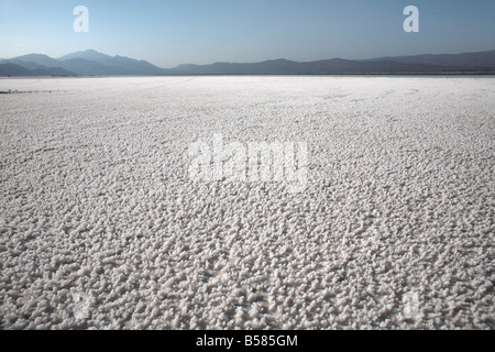 Le point le plus bas sur le continent africain et la plus étendue d'eau salée sur terre, Lac Assal, Djibouti, Afrique Banque D'Images