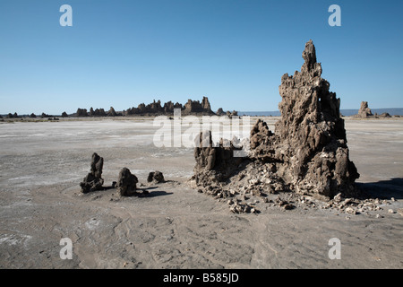 Le paysage désolé du Lac Abbe, parsemée de cheminées de calcaire, Djibouti, Afrique Banque D'Images