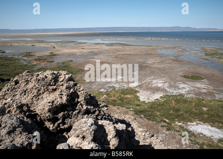 Le paysage désolé du Lac Abbe, Djibouti, Afrique Banque D'Images