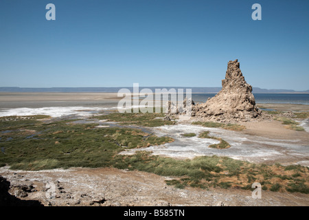 Le paysage désolé du Lac Abbe, parsemée de cheminées de calcaire, Djibouti, Afrique Banque D'Images