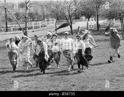 Wheat-Whopping Whoppers : tail-end Tillie flics un Whopper dans la pratique du blé-run énorme pour le Festival du Jubilé qui aura lieu le 7 mai. Avril 1977 P005080 Banque D'Images