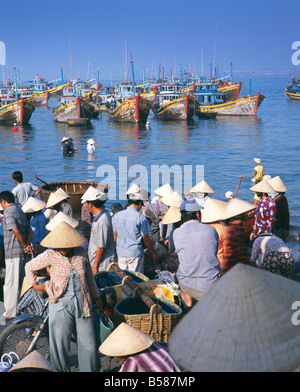 Village de pêcheurs, les personnes qui reçoivent le matin à partir de capture de la flotte de bateaux de pêche, Mui Ne, le centre-sud de la côte, le Vietnam, l'Indochine Banque D'Images