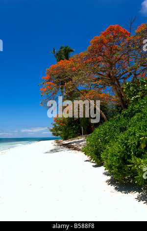 À Grand Anse Praslin Island Seychelles Banque D'Images