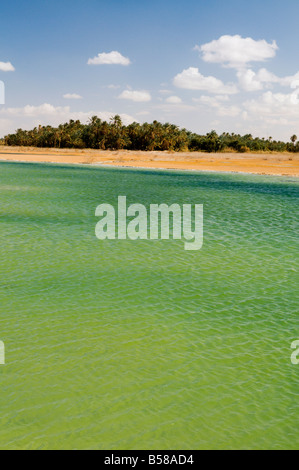 Birket Siwa Siwa (Lac), l'oasis de Siwa, désert de l'Ouest, l'Egypte, l'Afrique du Nord, Afrique Banque D'Images