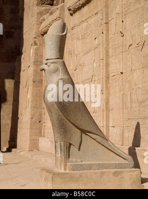 La Statue d'Horus le dieu faucon au Temple d'Horus Edfou Egypte Afrique du Nord Afrique Banque D'Images