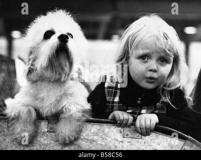 Dame et l'espiègle. Ils ont l'air nerveux. Ainsi ils pourraient. Après tout, personne, mais personne n'a pas dans le à l'Olympia, Londres, lorsque la Cruft dog show est vraiment pas besoin paire peu inquiets quand ils ont jeté un coup d'in. La scamp sur la gauche est en fait Bullmead Suncrest, un terrier de aristocratique Windsor, Berkshire. La jeune fille ? Bien, elle est de trois ans, Lisa Dove de Durham. Et avec des yeux comme ça, elle a juste à être une dame. Février 1975 P006106 Banque D'Images