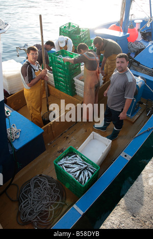 Les pêcheurs préparent à décharger leurs prises de petits mackrel à Playa San Juan port dans Tenerife Espagne Banque D'Images