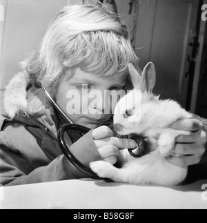 Animal : Lapin Mignon : : c'était un moment d'émerveillement, d'offres lorsqu'un enfant peut entendre le battement rythmique d'un petit coeur. Les quelques semaines vieux lapin blanc au Zoo Childrensê, Crystal Palace, Londres, est l'un d'une portée née là, et qui seront bientôt en route vers de nouveaux foyers. Quand sept ans Jean Gankerseer, de Burgess Hill, Sussex payait le parc d'une visite avec sa famille, il a eu la chance d'utiliser le stéthoscope et écouter un peu de signes de vie peu animal. L'émerveillement d'un autre monde portée à ses oreilles. Décembre 1976 76-07571-005 Banque D'Images