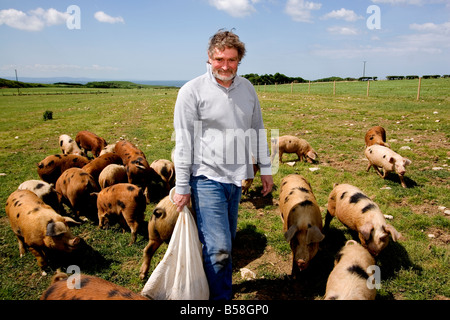 Peter Davies agriculteur biologique Gloustershire alimentation spot vieux porcs sur sa ferme à Southerndown Vallée de Glamorgan au Pays de Galles du Sud Banque D'Images