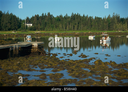 Bateaux amarrés à Peggy's Cove, à marée basse, South Shore, en Nouvelle-Écosse, Canada, Amérique du Nord Banque D'Images