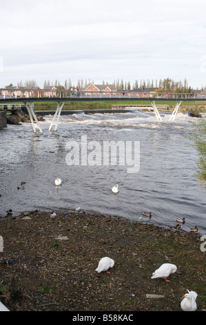 Calder rivière castleford West Riding of Yorkshire du nord au sud de l'Angleterre Royaume-Uni weir Banque D'Images