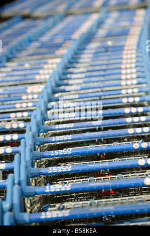 Des centaines de chariots Tesco sont empilés et prêts pour le prochain client. Banque D'Images