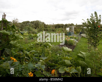 Une vue générale d'une allocations de Banque D'Images