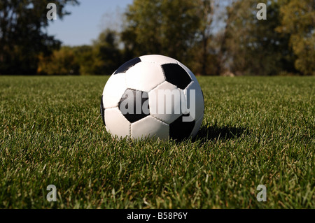 Le football sur l'herbe. Banque D'Images