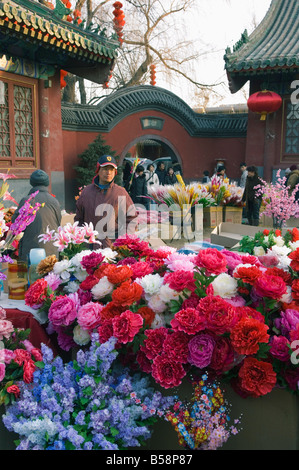 Décoration lors d'une foire du Temple à Donyue Temple pendant la fête du printemps le Nouvel An chinois, Beijing, Chine Banque D'Images