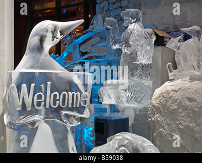 Bienvenue au parc de neige de Ski Dubaï dans le centre commercial Mall of the Emirates Banque D'Images