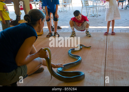 Un ranger de la faune à la Malcolm Douglas Wildlife Park près de Broome montre un python pour les enfants d'olive Banque D'Images