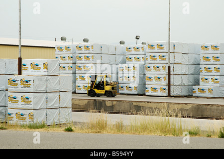 Bois d'une scierie au prêt pour l'expédition sur les wagons de chemin de fer Banque D'Images