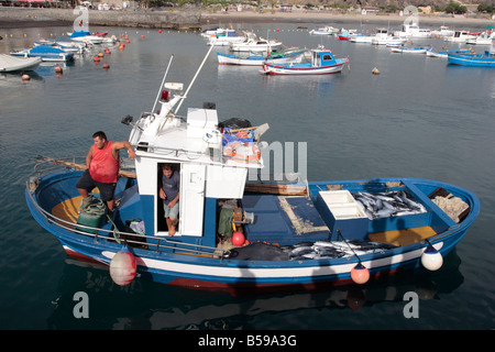 Bonito thon sur le pont d'un bateau arrivant à Playa San Juan Tenerife Espagne Banque D'Images