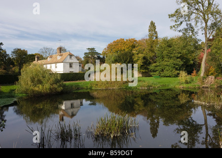 L'usine extérieure à l'automne du soleil Grantchester Cambridgeshire Banque D'Images