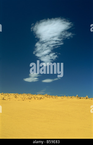 Le Pinnacle désert le Parc National de Nambung Australie Occidentale Australie Pacifique Banque D'Images