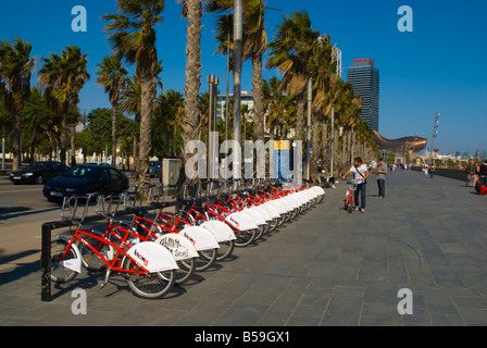 Des vélos Bicing le long du Passeig Maritim à Platja de la Barceloneta Beach à Barcelone Espagne Europe Banque D'Images