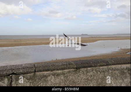 La scène à Seaton Carew Cleveland où John Darwin a disparu Banque D'Images