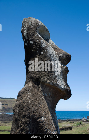 L'un des célèbres têtes sculptées de l'île de Pâques Banque D'Images