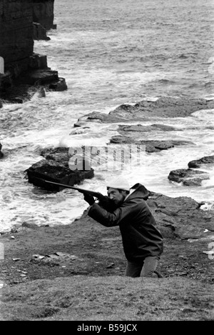 L'île d'Orkney Rousay Histoire : à l'île d'Orkney Rousay, où 29 ans Christopher Soames a couché sur une nouvelle vie pour lui-même et sa femme Mary, et de leurs enfants, de sable 8, 5 David et Elizabeth, 4. Les images montrent Christopher au travail : le tir des canards pour l'alimentation de la famille. Janvier 1970 71-00005-008 Banque D'Images