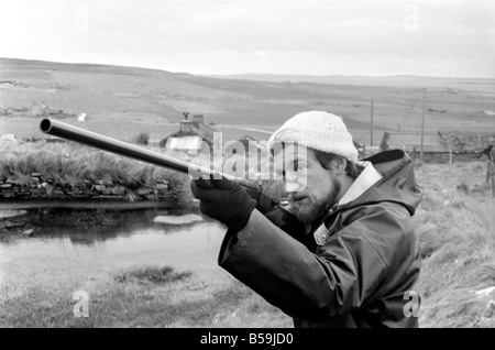 L'île d'Orkney Rousay Histoire : à l'île d'Orkney Rousay, où 29 ans Christopher Soames a couché sur une nouvelle vie pour lui-même et sa femme Mary, et de leurs enfants, de sable 8, 5 David et Elizabeth, 4. Les images montrent Christopher au travail : le tir des canards pour l'alimentation de la famille. Janvier 1970 71-00005-009 Banque D'Images