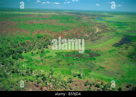 Des zones humides de l'antenne sur la plaine inondable de la rivière Alligator est entre l'Arnhemland et Parc National de Kakadu, Australie Banque D'Images