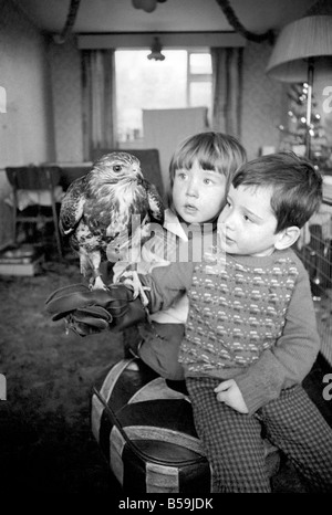 Animal/pet/inhabituelle. Les enfants avec Buzzard. Décembre 1970 71-00012-002 Banque D'Images