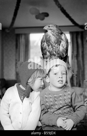 Animal/pet/inhabituelle. Les enfants avec Buzzard. Décembre 1970 71-00012-004 Banque D'Images