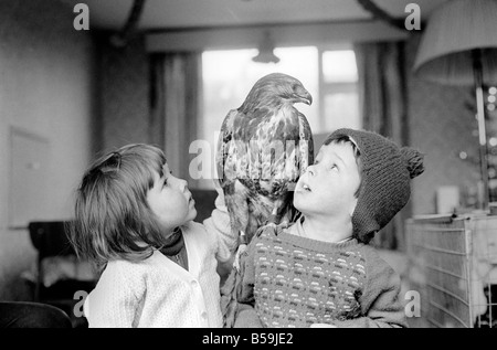 Animal/pet/inhabituelle. Les enfants avec Buzzard. Décembre 1970 71-00012-005 Banque D'Images