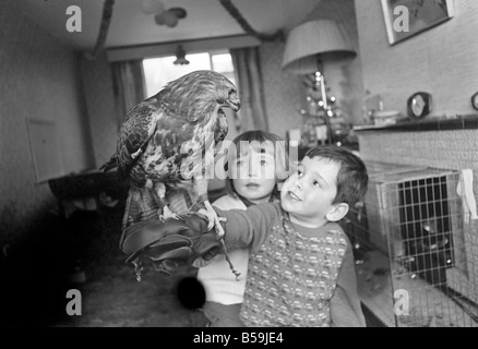 Animal/pet/inhabituelle. Les enfants avec Buzzard. Décembre 1970 71-00012 Banque D'Images