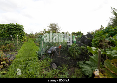 Un sentier et des parcelles d'attribution Banque D'Images