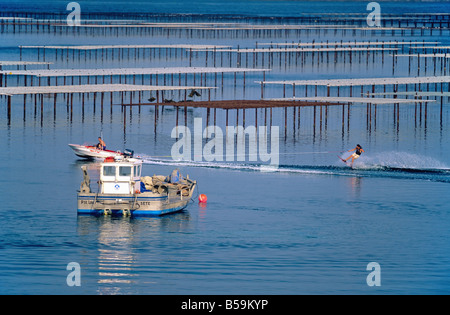 SKI NAUTIQUE ET OYSTER FARM 'BASSIN DE THAU BASSIN' LANGUEDOC FRANCE Banque D'Images