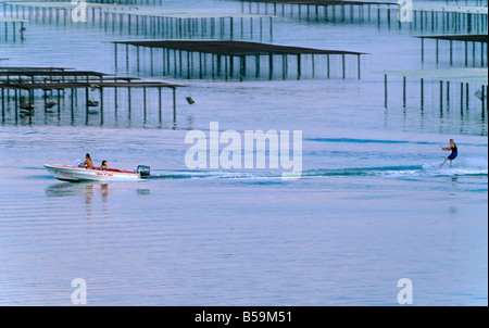 SKI NAUTIQUE ET OYSTER FARM 'BASSIN DE THAU BASSIN' LANGUEDOC FRANCE Banque D'Images