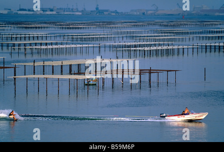 SKI NAUTIQUE ET OYSTER FARM 'BASSIN DE THAU BASSIN' LANGUEDOC FRANCE Banque D'Images