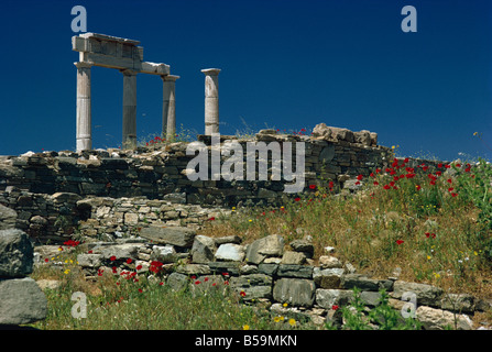 Temple d'Apollon, Delos, UNESCO World Heritage Site, îles grecques, Grèce, Europe Banque D'Images
