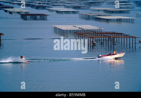 SKI NAUTIQUE ET OYSTER FARM 'BASSIN DE THAU BASSIN' LANGUEDOC FRANCE Banque D'Images