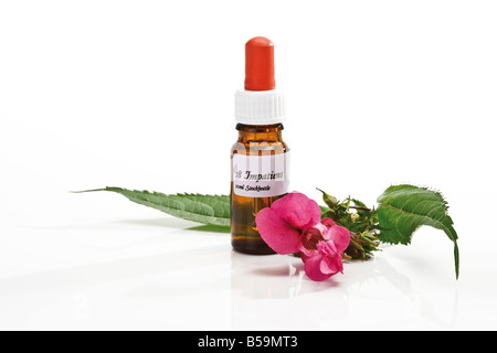 Bouteille avec Stock de Fleurs de Bach, remède Impatiens Banque D'Images